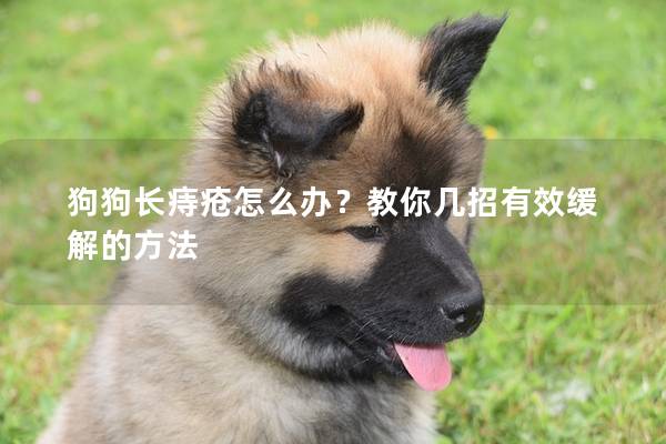 狗狗长痔疮怎么办？教你几招有效缓解的方法