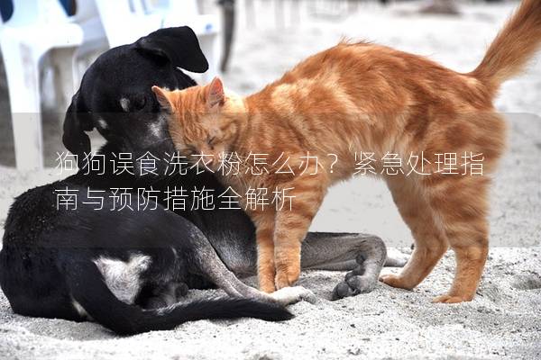 狗狗误食洗衣粉怎么办？紧急处理指南与预防措施全解析