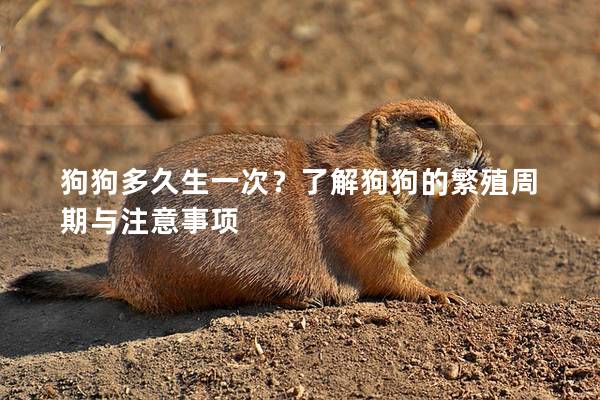 狗狗多久生一次？了解狗狗的繁殖周期与注意事项