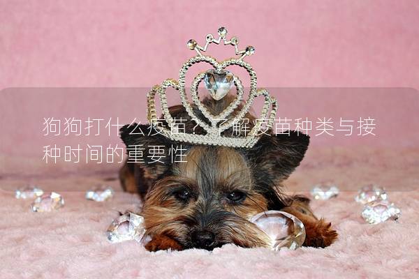 狗狗打什么疫苗？了解疫苗种类与接种时间的重要性