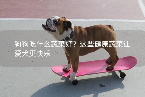 狗狗吃什么蔬菜好？这些健康蔬菜让爱犬更快乐