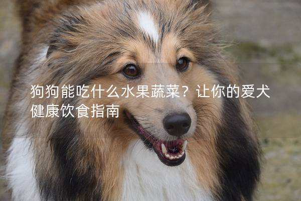 狗狗能吃什么水果蔬菜？让你的爱犬健康饮食指南