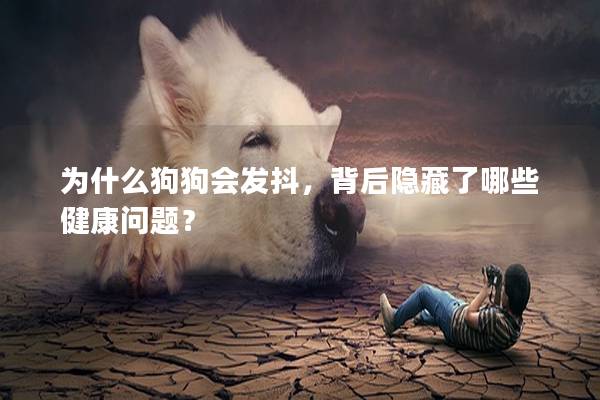 为什么狗狗会发抖，背后隐藏了哪些健康问题？