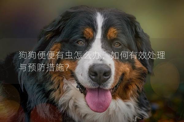 狗狗便便有虫怎么办，如何有效处理与预防措施？