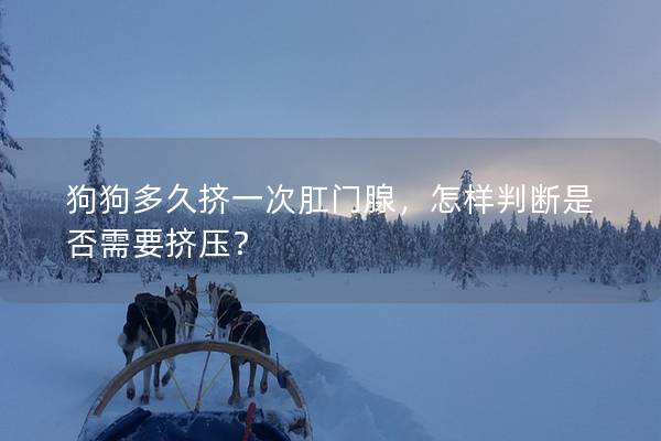 狗狗多久挤一次肛门腺，怎样判断是否需要挤压？