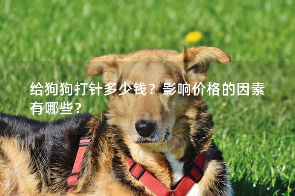 给狗狗打针多少钱？影响价格的因素有哪些？