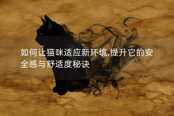 如何让猫咪适应新环境,提升它的安全感与舒适度秘诀