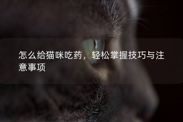 怎么给猫咪吃药，轻松掌握技巧与注意事项