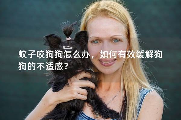 蚊子咬狗狗怎么办，如何有效缓解狗狗的不适感？