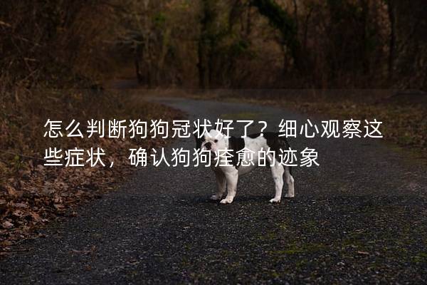 怎么判断狗狗冠状好了？细心观察这些症状，确认狗狗痊愈的迹象