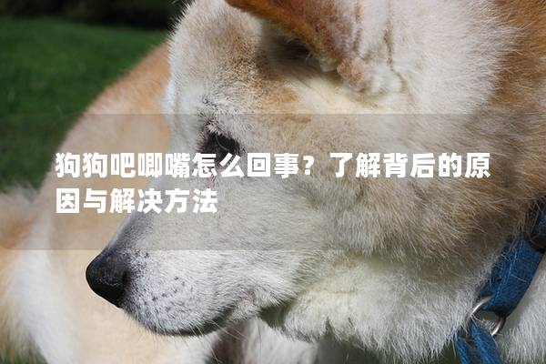 狗狗吧唧嘴怎么回事？了解背后的原因与解决方法
