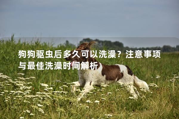 狗狗驱虫后多久可以洗澡？注意事项与最佳洗澡时间解析