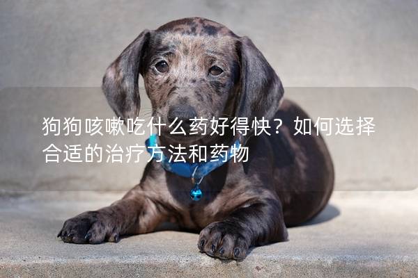 狗狗咳嗽吃什么药好得快？如何选择合适的治疗方法和药物