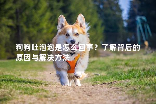 狗狗吐泡泡是怎么回事？了解背后的原因与解决方法