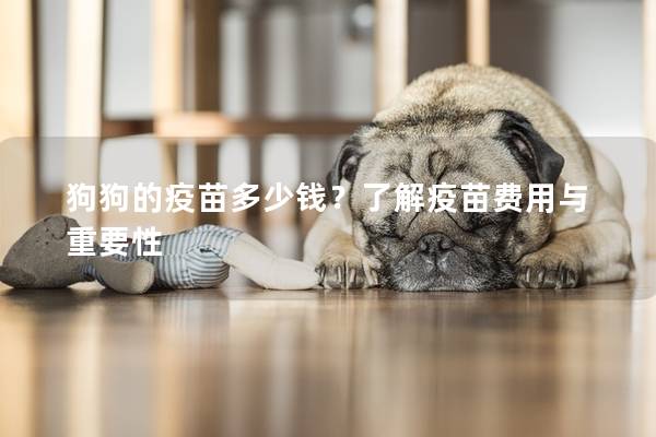 狗狗的疫苗多少钱？了解疫苗费用与重要性