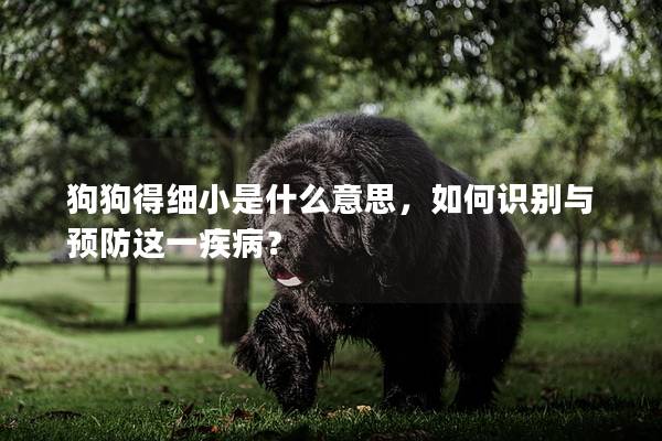 狗狗得细小是什么意思，如何识别与预防这一疾病？