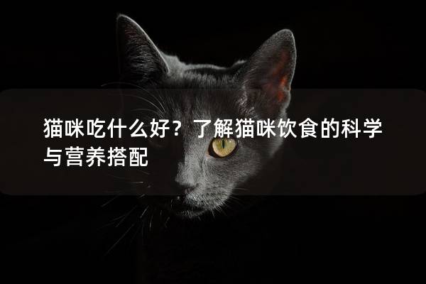 猫咪吃什么好？了解猫咪饮食的科学与营养搭配