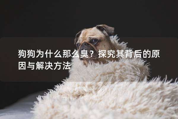 狗狗为什么那么臭？探究其背后的原因与解决方法