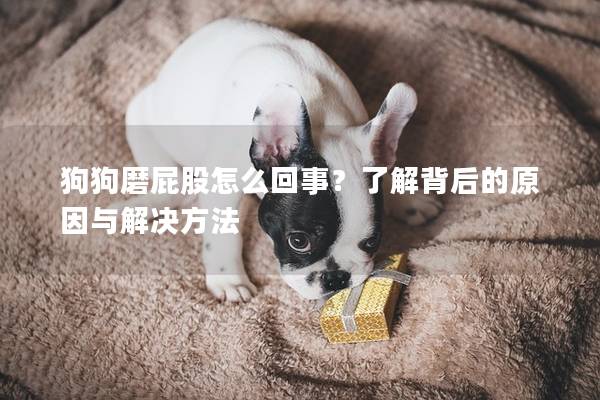 狗狗磨屁股怎么回事？了解背后的原因与解决方法