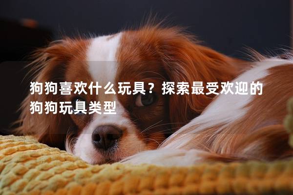 狗狗喜欢什么玩具？探索最受欢迎的狗狗玩具类型