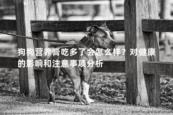 狗狗营养膏吃多了会怎么样？对健康的影响和注意事项分析