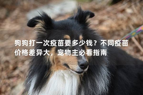 狗狗打一次疫苗要多少钱？不同疫苗价格差异大，宠物主必看指南