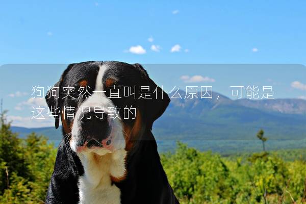 狗狗突然一直叫是什么原因，可能是这些情况导致的