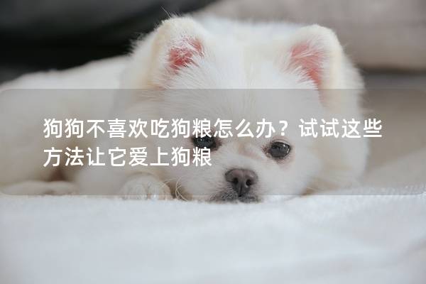 狗狗不喜欢吃狗粮怎么办？试试这些方法让它爱上狗粮