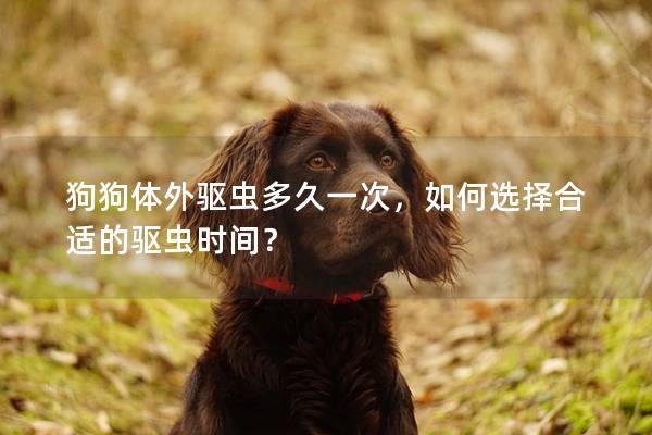狗狗体外驱虫多久一次，如何选择合适的驱虫时间？