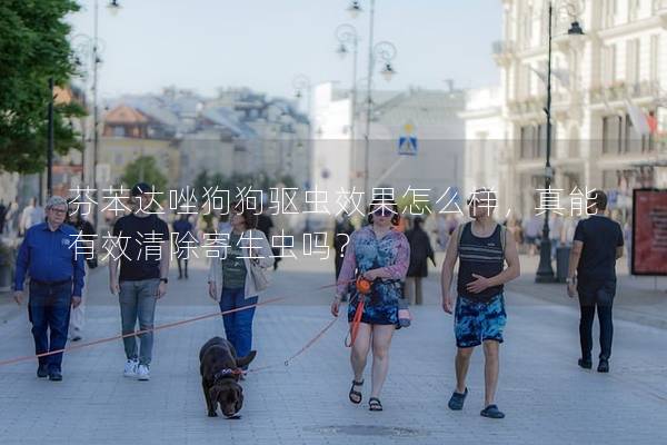 芬苯达唑狗狗驱虫效果怎么样，真能有效清除寄生虫吗？