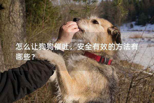 怎么让狗狗催吐，安全有效的方法有哪些？