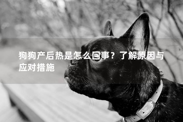 狗狗产后热是怎么回事？了解原因与应对措施