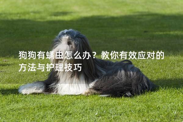 狗狗有螨虫怎么办？教你有效应对的方法与护理技巧