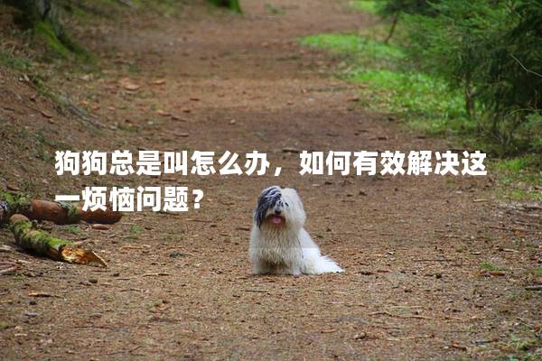 狗狗总是叫怎么办，如何有效解决这一烦恼问题？