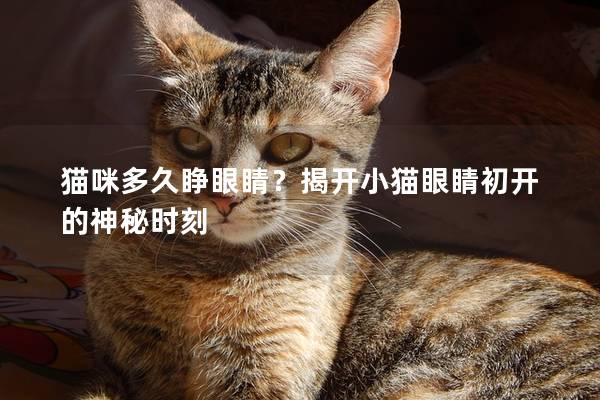 猫咪多久睁眼睛？揭开小猫眼睛初开的神秘时刻