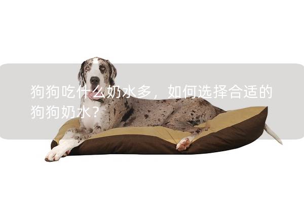 狗狗吃什么奶水多，如何选择合适的狗狗奶水？