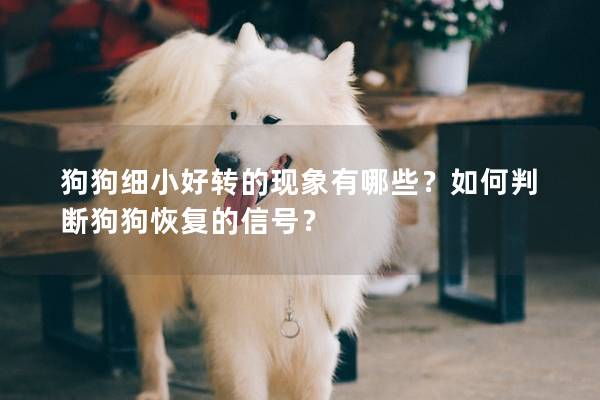 狗狗细小好转的现象有哪些？如何判断狗狗恢复的信号？