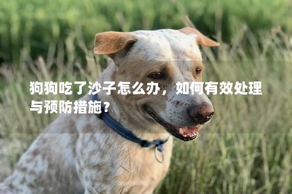 狗狗吃了沙子怎么办，如何有效处理与预防措施？