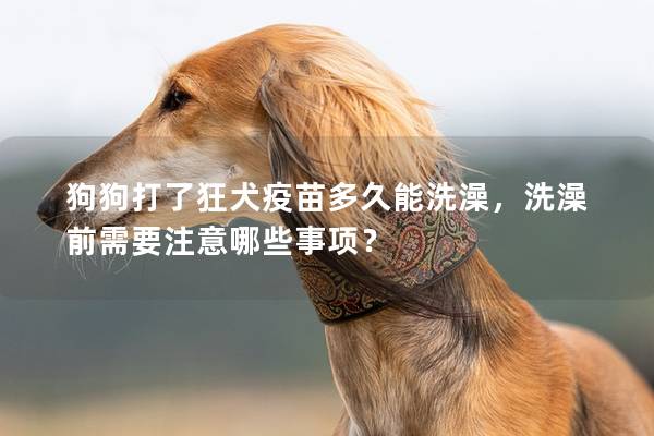 狗狗打了狂犬疫苗多久能洗澡，洗澡前需要注意哪些事项？