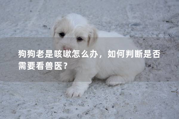 狗狗老是咳嗽怎么办，如何判断是否需要看兽医？