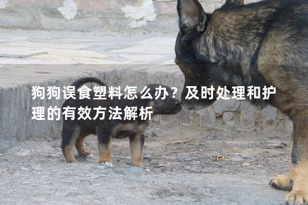 狗狗误食塑料怎么办？及时处理和护理的有效方法解析