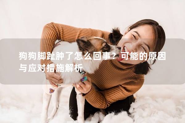 狗狗脚趾肿了怎么回事？可能的原因与应对措施解析