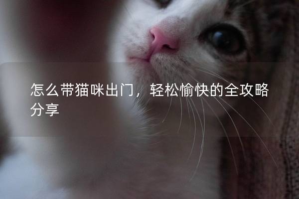 怎么带猫咪出门，轻松愉快的全攻略分享