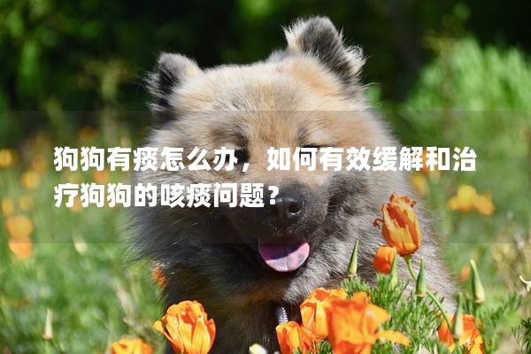 狗狗有痰怎么办，如何有效缓解和治疗狗狗的咳痰问题？