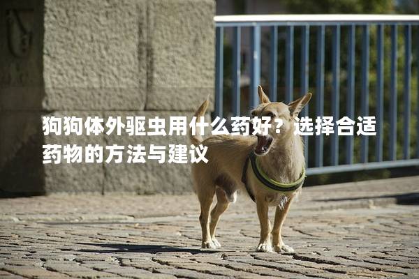 狗狗体外驱虫用什么药好？选择合适药物的方法与建议