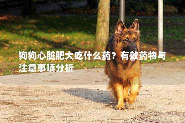 狗狗心脏肥大吃什么药？有效药物与注意事项分析