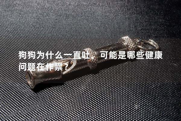 狗狗为什么一直吐，可能是哪些健康问题在作祟？