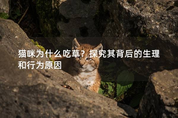 猫咪为什么吃草？探究其背后的生理和行为原因