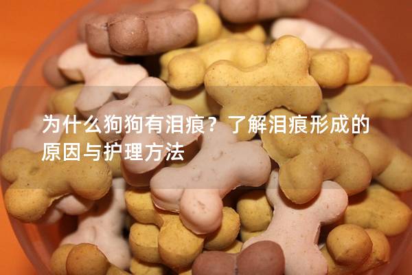 为什么狗狗有泪痕？了解泪痕形成的原因与护理方法