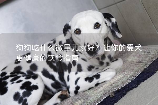 狗狗吃什么微量元素好？让你的爱犬更健康的饮食指南